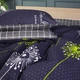 Комплект постельного белья MirSon Бязь Premium Nina №70INT 143х210 см (2200000997241) - изображение 4