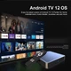 Smart TV Box Dcolor GD2 2/32Гб Netflix Google TV сертифікація 8K HDR, потужна Андройд ТВ приставка Amlogic S905Y4 Смарт ТВ приставка з Bluetooth-пультом голосовим пошуком, медіаплеєр для IPTV, фільмів, Megogo, SweetTV промокоди ТБ (Dcolor GD2 481585784) - зображення 7