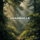 Аромат ARDEMA SHAMBALLA 50 мл (182653) - изображение 2