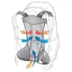 Рюкзак DEUTER AC Lite 22 SL, колір 3026 petrol (зразок) - изображение 2
