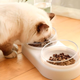 Кормушка 3в1 для животных со съемными мисочками Gatto миска для кошек и собак со встроенной поилкой, 500 мл, белый (101315058) - изображение 3