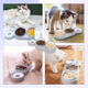 Кормушка 3в1 для животных со съемными мисочками Gatto миска для кошек и собак со встроенной поилкой, 500 мл, серый (101316789) - изображение 2