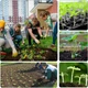 Набор универсальных лотков GrowBox для проращивания растений со светодиодным светом 19*15 см 4 шт - изображение 8