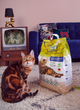 Наполнитель для котов Cosycat, Экологический наполнитель Премиум класса, 4,3 кг / 10 л - изображение 4