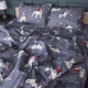 Комплект постельного белья MirSon полуторный евро 160x220 см 17-0663 Cute Pug бязь (2200010011395) - изображение 1