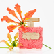 Парфумована вода для жінок Oscar de la Renta Bella Tropicale 100 мл (085715569103) - зображення 3