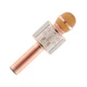 Микрофон Karaoke DM WS858 Золото - изображение 2