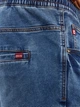 Шорты джинсовые длинные мужские Big Star Parker 486 L Синие (5900714824730) - изображение 6