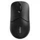 Мышь беспроводная Rapoo 1510 Wireless Black - изображение 1