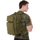 Рюкзак тактичний штурмовий 25 л 45x27x20 см нейлон Oxford 600D Zelart оливковий TY-616 - зображення 10