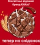 Готовий сухий сніданок KitKat в Глазурі з Молочним шоколадом 190 г (5900020042729) - зображення 6