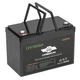 Тяговый аккумулятор Haswing FT12100. 12V. 100A/h. LiFepo4. Аккумулятор для лодочного электромотора. - изображение 2