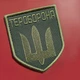 Шеврон IDEIA 120106531 Габардин - изображение 8