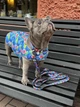Поводок для собак нейлоновый WAUDOG Nylon, рисунок "Инжир", размер L-XXL, 300 см, 25 мм - изображение 9