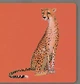 Animals of Afrika. Collect The Rainbow. АртБукс - зображення 6