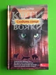 Коти-вояки. Сила трьох. Книга 6. Сходить сонце. Ерін Гантер. АССА - изображение 1
