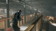 Gra PlayStation 4 Firewall Zero Hour with Aim Controller PSVR (Blu-ray płyta) (0711719519959) - obraz 7