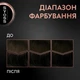 Стойкая краска для волос SYOSS 3-1 Темно-каштановый 115 мл (9000100632706) - изображение 4