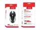 Миша Jedel CP79 Black USB - зображення 3