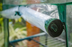 Szklarnia NEO Tools folia PVC konstrukcja metalowa 69x49x160 cm 15-901 Zielony (5907558485417)   - obraz 5