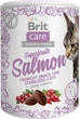 Лакомство для кошек Brit Care Cat Snack Superfruits Salmon лосось 100 г (8595602521449) - изображение 1