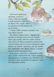 Дивовижний друг. У долині Вовків - изображение 9