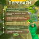 Сетка Bradas шпалерная 1,7х100м зеленая 15х17см для защиты винограда огурцов кабачков цветочная натяжная - изображение 2