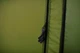 Намет душ туалет для кемпінгу Tribe Shower Lite T-AC-0002-olive (TBiz16739) - зображення 6