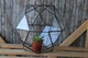 Стеклянная форма для флорариума Шар mini d 20cm - изображение 1