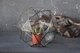 Стеклянная форма для флорариума Шар mini d 20cm - изображение 3