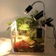 Светильник для террариума Terrario ReptiSun Long с гибким плечом, зажимом и регулятором мощности до 200 Вт - изображение 8