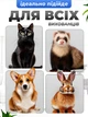 Интерактивная игрушка мячик для котов кошек JoyPro intelligent cat teasing ball голубой умный игровой мяч с хвостиком для котиков котят собак животных интеллектуальный дразнящий шарик смарт с автоотключением и зарядкой type-c в комплекте - изображение 7