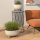 Вазон Lamela Roma Jumper 240 х 150 мм Кремовий (9749560) - изображение 6