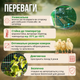 Сетка AgroStar вольерная 0,5х100м зеленая 12х14см для защиты винограда овощей ограждения птицы зонирования - изображение 3