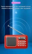FM-радио Action D-55 Red - изображение 11