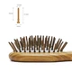 Расческа SMATE Hair Massage Comb SC-31 Green Sandalwood (6971253830093) - изображение 2
