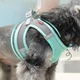 Шлея-жилет світловідбиваюча для кішок та собак Harness Vest XS Blue - зображення 3