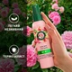 Легкий бальзам-ополаскиватель Herbal Essences Rose Scent Petal Soft 145 мл (8700216631815) - изображение 6