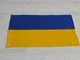 Флаг Украины, габардин, 90 см * 140 см - изображение 1