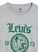 Футболка-лонгслив Levi's Logo Graphic Long Sleeve T-Shirt Color: Heather Grey - Grey (360150134) M - изображение 5