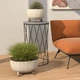 Вазон для цветов Lamela ROMA JUMPER круглый 240 х 150 мм, цвет, кремовый - изображение 2