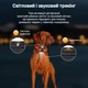 GPS-трекер для собак pTL40L (4G LTE, 4000 мАч, IP67) - изображение 3