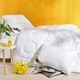 Одеяло всесезонное полуторное Air Dream Exclusive 140х210 см IDEIA двойное супер теплое дабл антиаллергенное - изображение 2