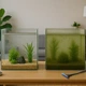 Набор для чистки аквариума Kruger Meier AquaMate Hydra V 5in1 - изображение 6