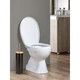 Йоржик для унітазу підлоговий округлий із нержавіючої сталі чорний 40х10 см Kamille - зображення 2