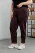 Женские спортивные брюки из трикотажа двунитка демисезонные Aksan 22.1530 54(4xl) коричневий - изображение 2