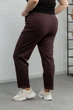 Женские спортивные брюки из трикотажа двунитка демисезонные Aksan 22.1530 54(4xl) коричневий - изображение 3