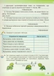 Інформатика, 4 кл., Робочий зошит - Вдовенко В. - Грамота (107328) - изображение 8