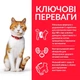 Сухой корм для стерилизованных кошек Hill's Science Plan Sterilised Cat Young Adult с курицей - 1.5 кг - изображение 2