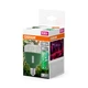Лампа LED 20W 220V 650lm CCT E27 80x118mm для растений [4058075845800] OSRAM Star Grow Lamp T80 - изображение 5